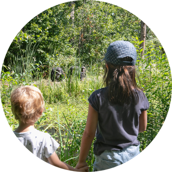 Vacances en famille dans la Vienne à La Vallée des Singes